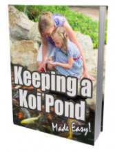 Keeping A Koi Pond