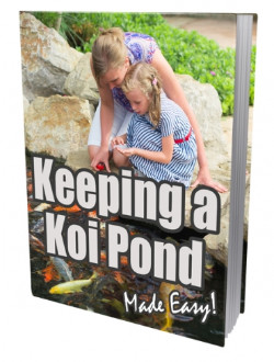 Keeping A Koi Pond
